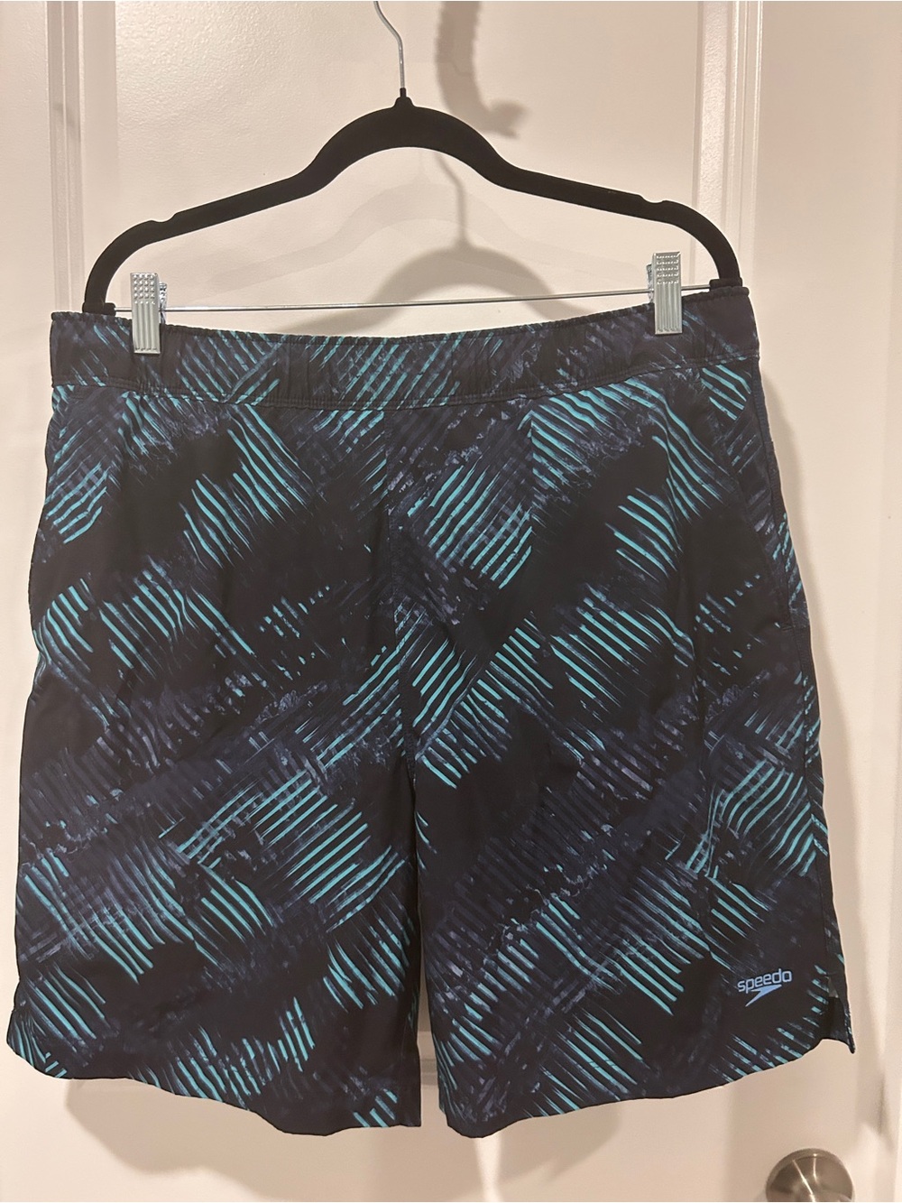 Speedo Men's Black with Teal Diagonal Stripe Swim Shorts